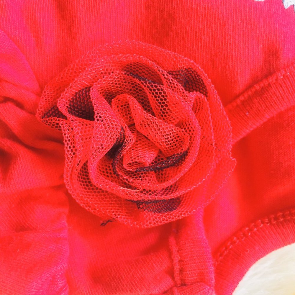 Sesame Street Elmo’s Shirt - Picture 5 of 5